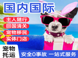 连云港机场托运国际宠物托运 【国